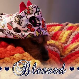 Meet your Posher, Melody